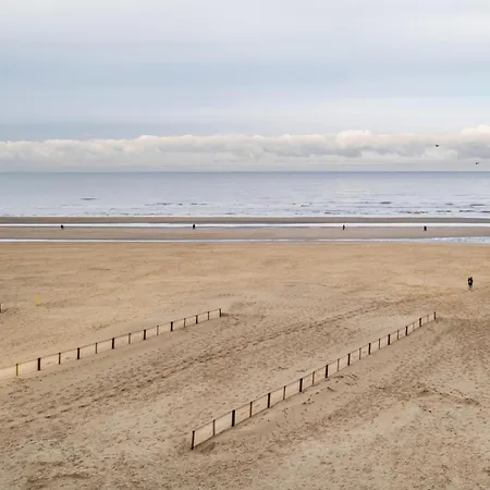 Vitelli Vierde Koksijde