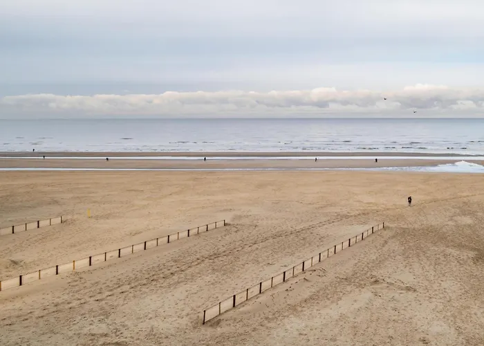 Vitelli Vierde קוקסיידה